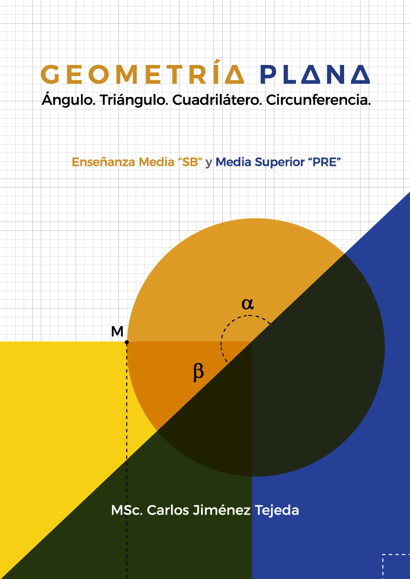 Geometría plana. Ángulos. Triángulo. Cuadrilátero. Circunferencia (Libro)